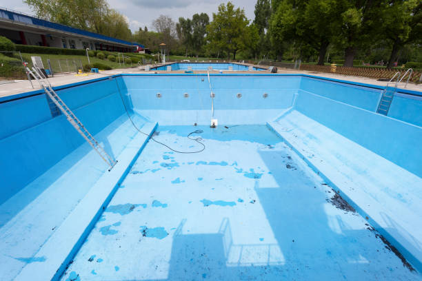 Best Basement water damage restoration  in Millers Falls, MA