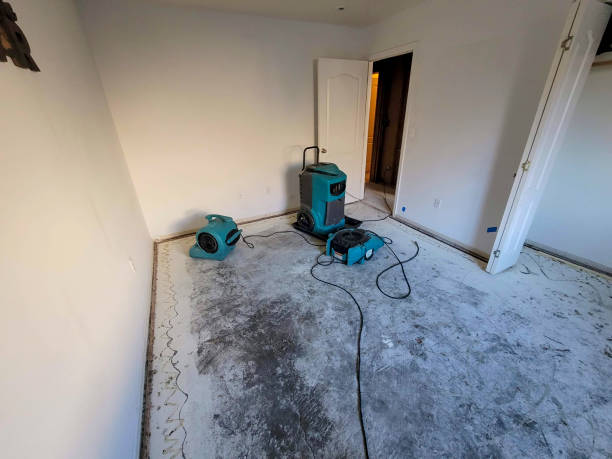 Best Water damage restoration near me  in Millers Falls, MA