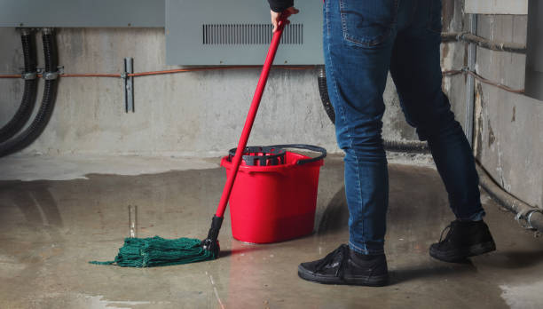 Best Flood damage cleanup  in Millers Falls, MA