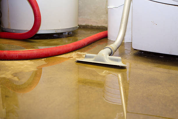 Best Commercial water damage restoration  in Millers Falls, MA